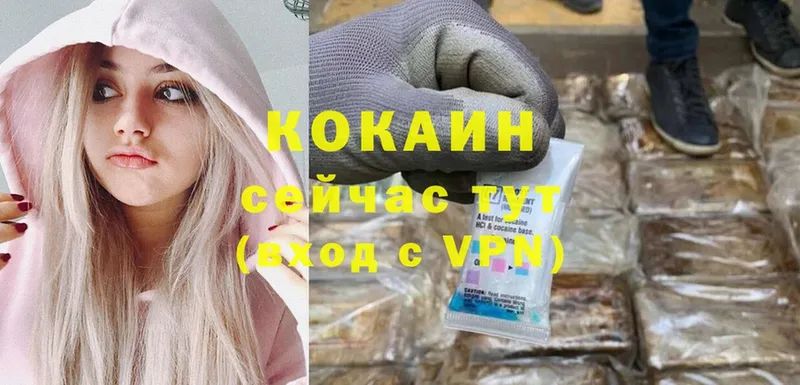 Cocaine Fish Scale  где продают   Долинск 